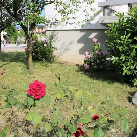 Ginny Cividale del Friuli